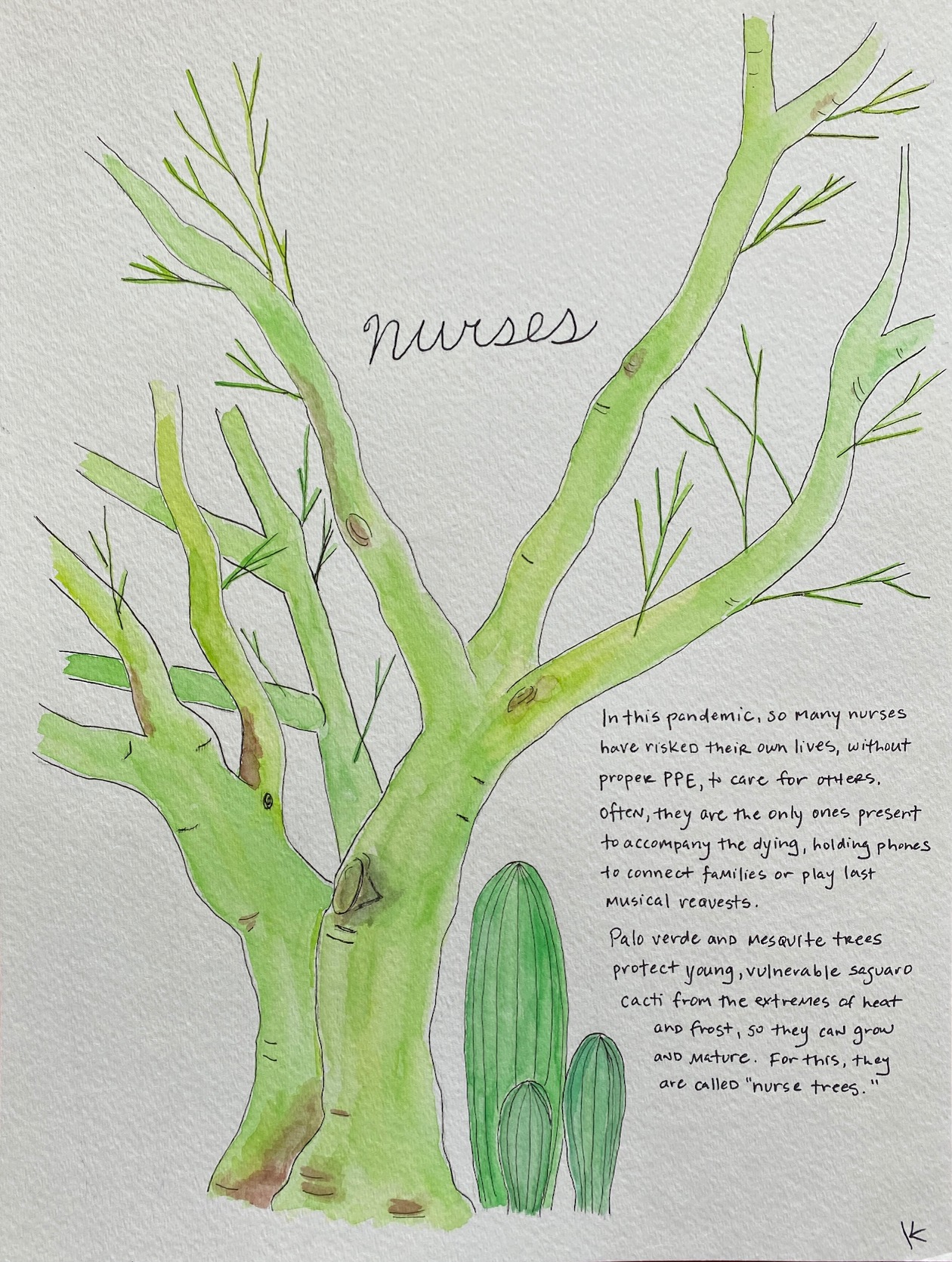 palo verde tree with saguaro cacti with text that reads In this pandemic, so many nurses have risked their own lives, without proper PPE, to care for others. Often, they are the only ones present to accompany the dying, holding phones to connect families or play last musical requests. Palo verde and mesquite trees protect young, vulnerable saguaro cacti from the extremes of heat and frost, so they can grow and mature. For this, they are called "nurse trees".