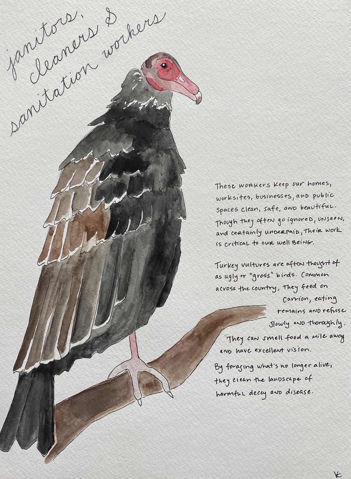 turkey vulture with text that reads: These workers keep our homes, worksites, businesses, and public spaces clean, safe, and beautiful. Though they often go ignored, unseen, and certainly underpaid, their work is critical to our well being. Turkey vultures are often thought of as ugly or "gross" birds. Common across the country, they feed on carrion, eating remains and refuse slowly and thoroughly. They can smell food a mile away and have excellent vision. By foraging what's no longer alive, they clean the landscape of harmful decay and disease.